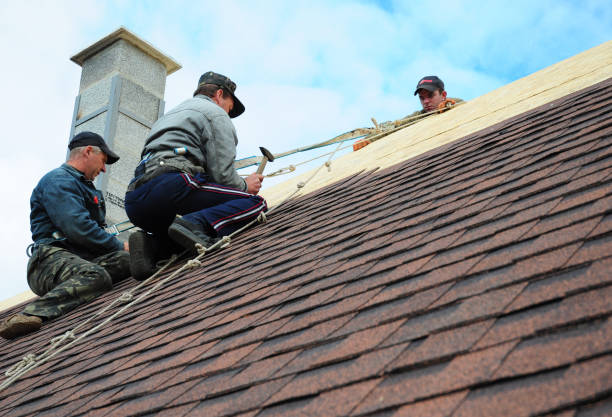 Best Shingle Roofing Installation  in Thorntown, IN